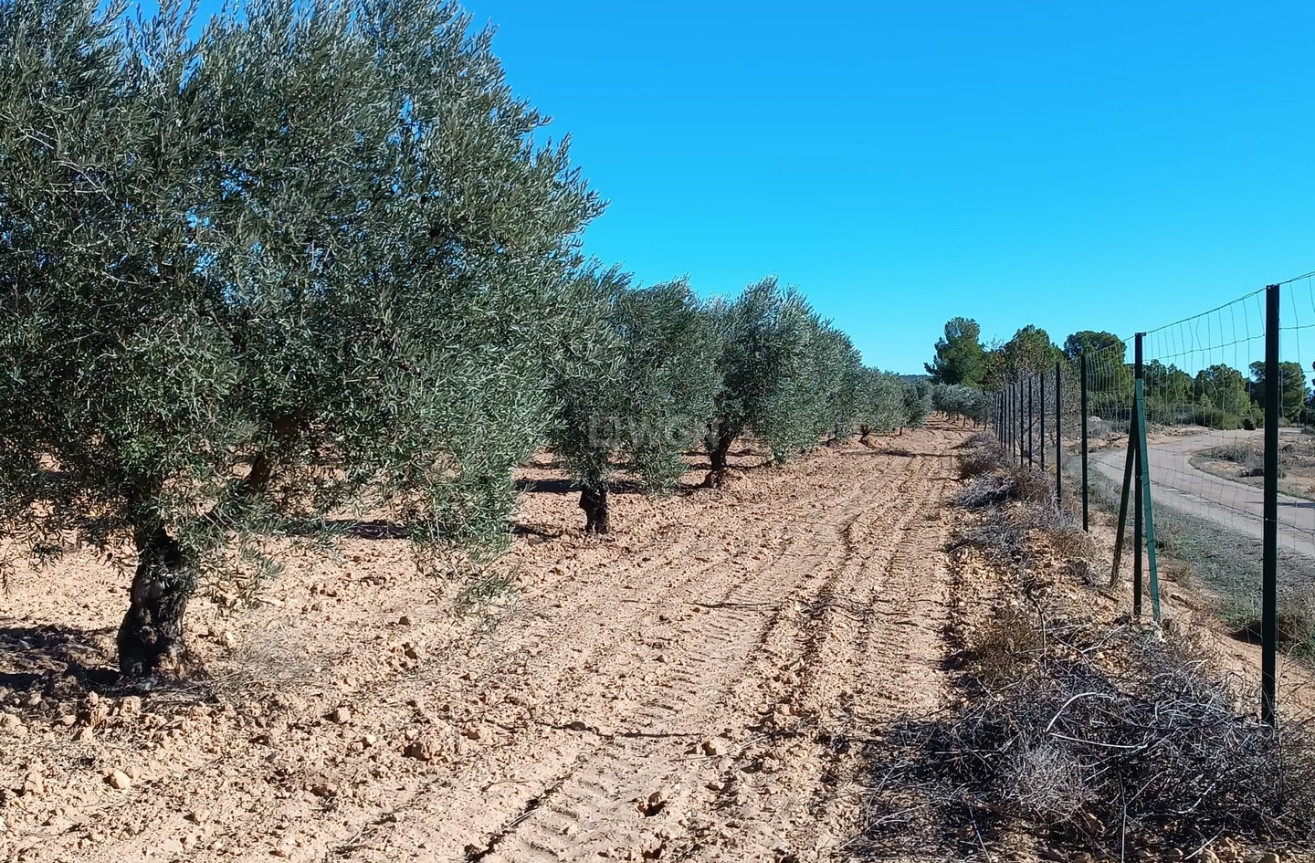 Odsprzedaż - Villa - Yecla - Inland