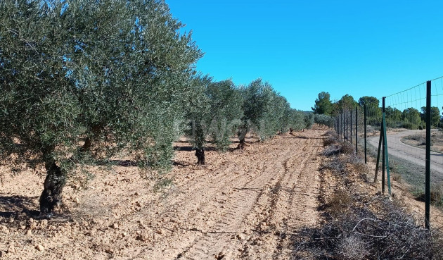 Odsprzedaż - Villa - Yecla - Inland