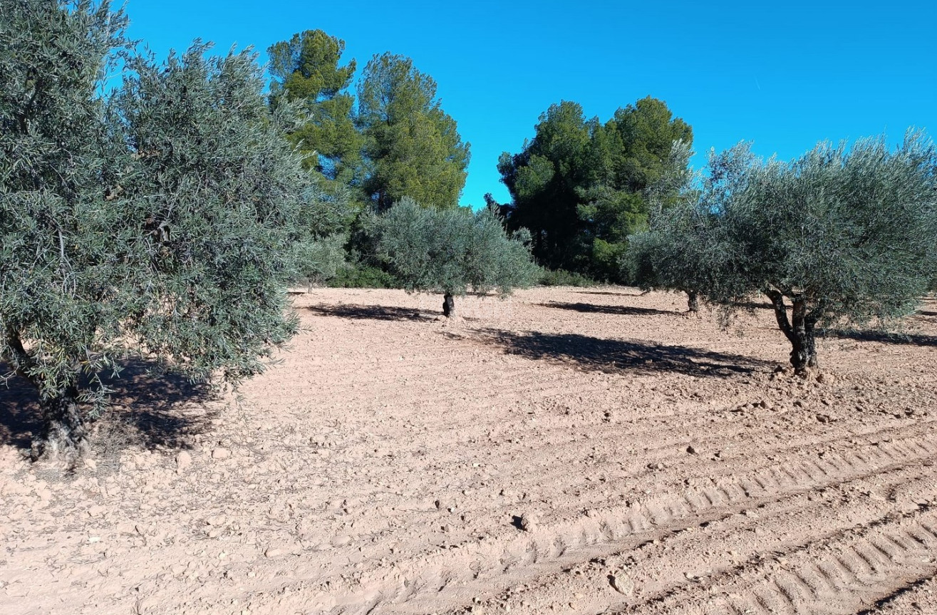 Odsprzedaż - Villa - Yecla - Inland