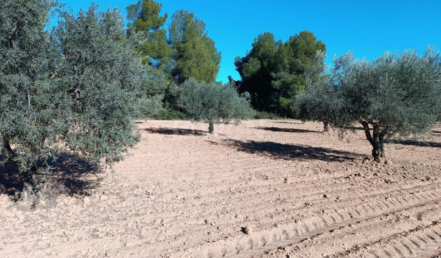 Odsprzedaż - Villa - Yecla - Inland