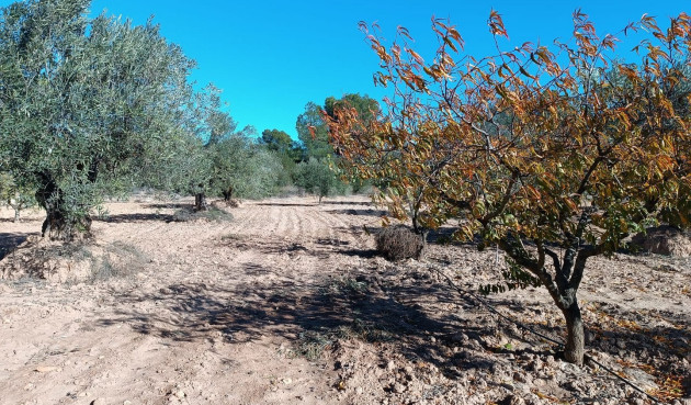 Odsprzedaż - Villa - Yecla - Inland