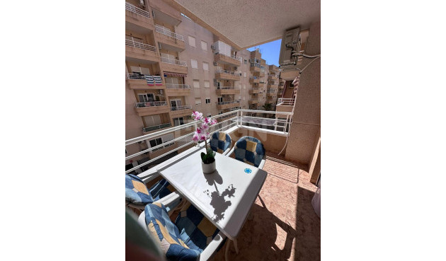 Odsprzedaż - Mieszkanie w bloku - Torrevieja - Centro - Muelle Pesquero