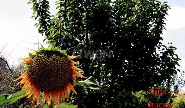 Wiederverkauf - Villa - Murcia - Inland