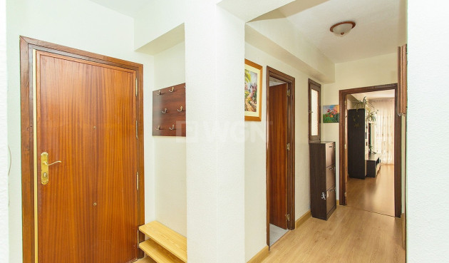 Reventa - Apartamento / piso - Torrevieja - Centro-Muelle Pesquero