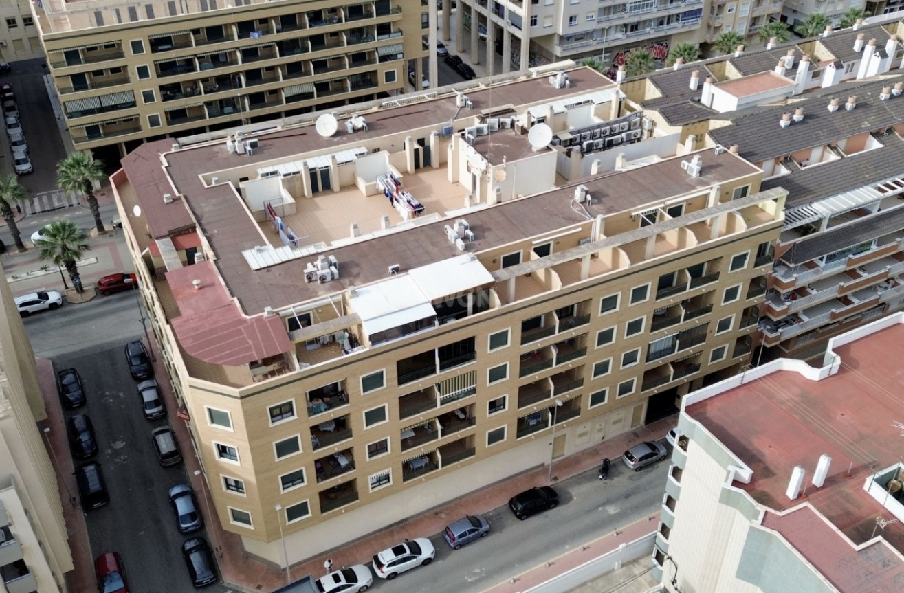 Wiederverkauf - Wohnung - Guardamar del Segura - Costa Blanca