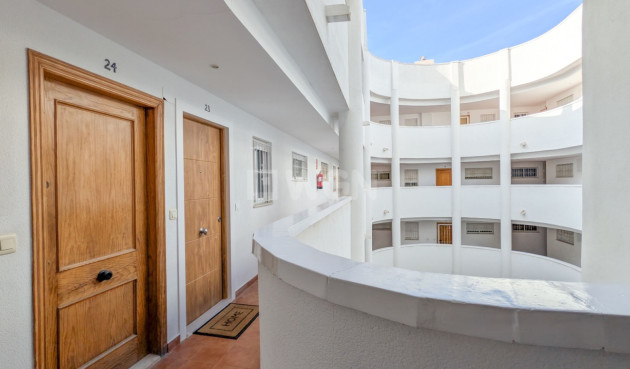 Resale - Apartment / flat - Torrevieja - Costa Blanca