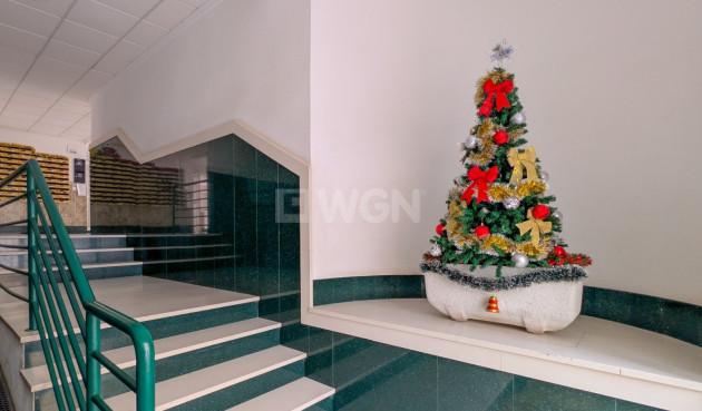 Resale - Apartment / flat - Torrevieja - Costa Blanca