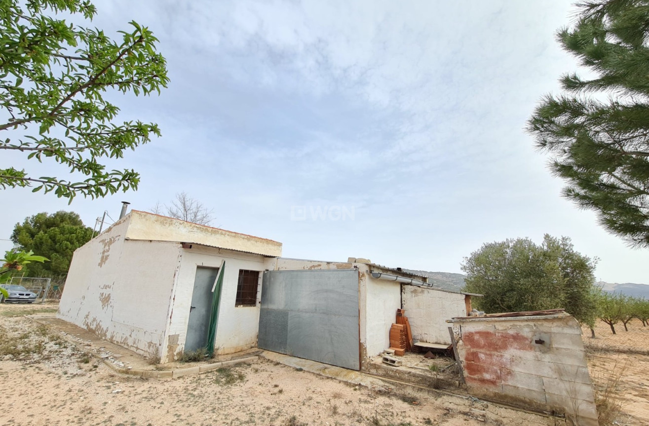 Wiederverkauf - Villa - Pinoso - Inland