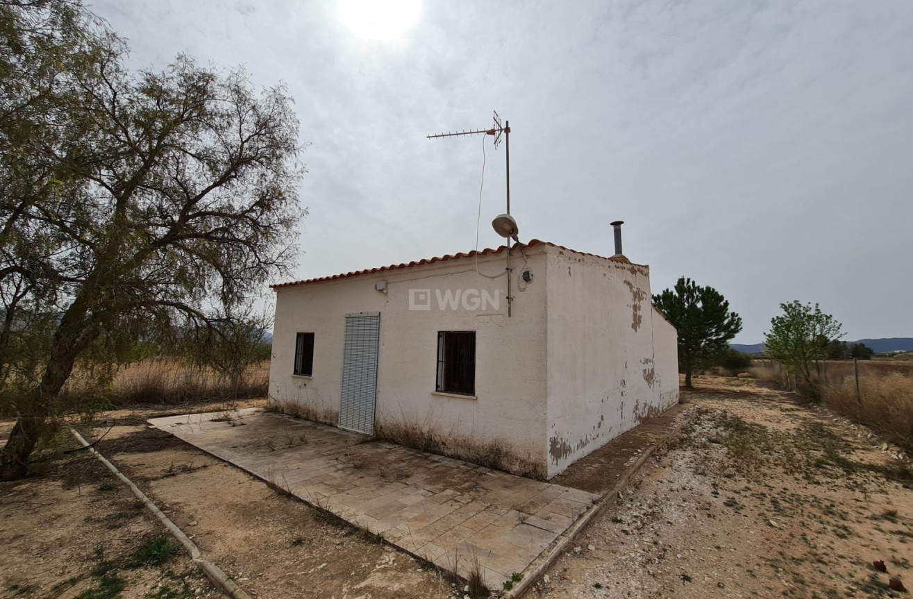 Wiederverkauf - Villa - Pinoso - Inland