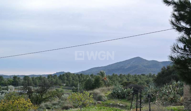 Reventa - Villa - Monóvar/Monóver - Inland