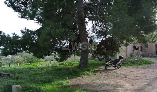 Reventa - Villa - Monóvar/Monóver - Inland