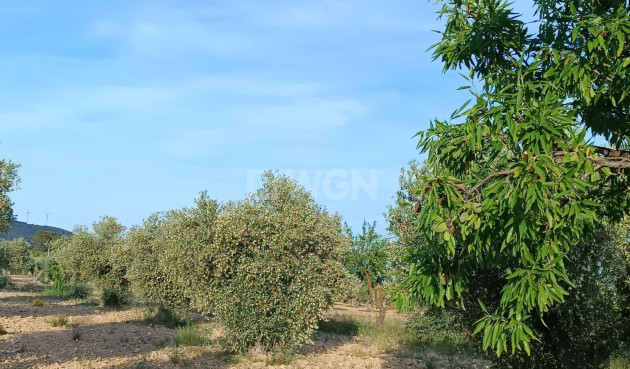 Reventa - Villa - Yecla - Inland