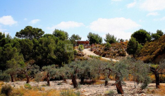 Wiederverkauf - Villa - Gea Y Truyols - Inland