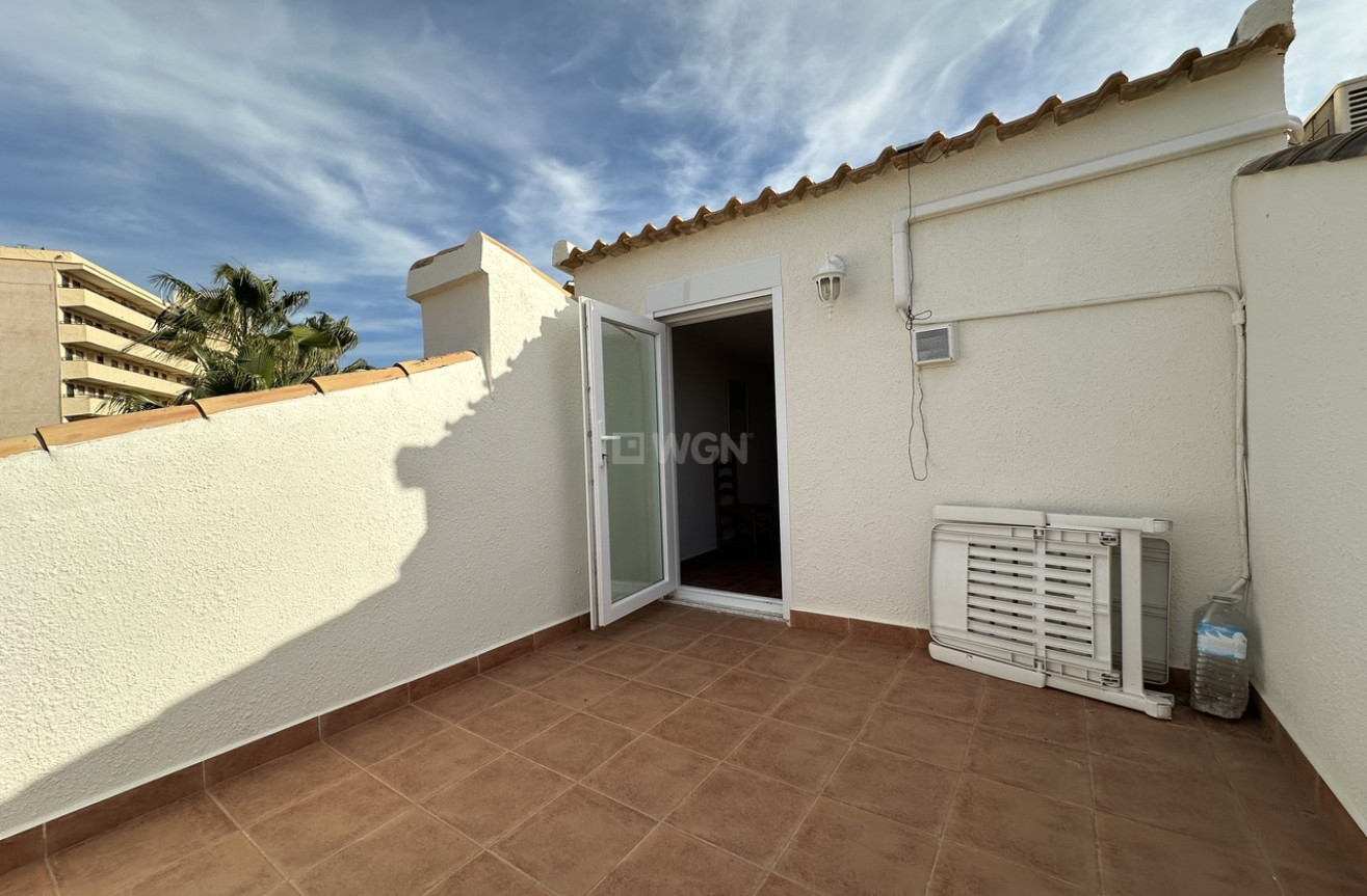 Wiederverkauf - Duplex - La Mata - Costa Blanca