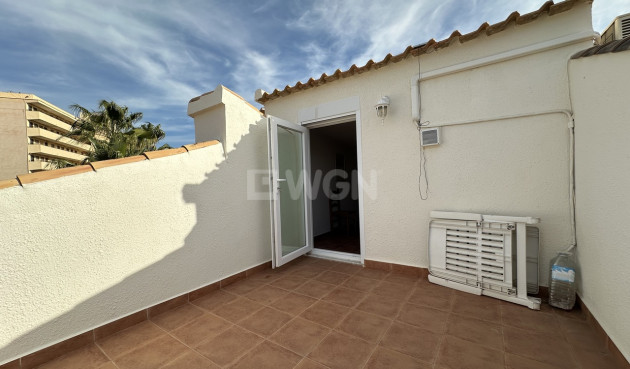 Wiederverkauf - Duplex - La Mata - Costa Blanca