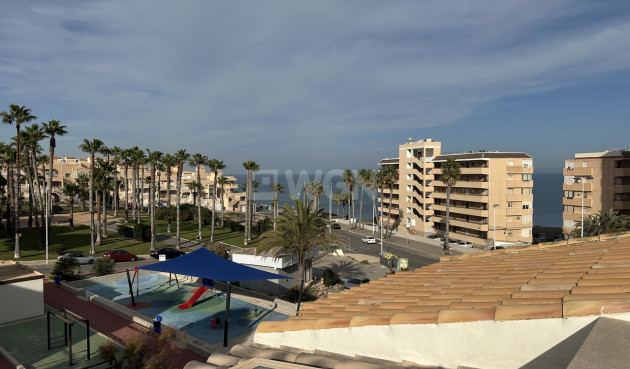 Wiederverkauf - Duplex - La Mata - Costa Blanca