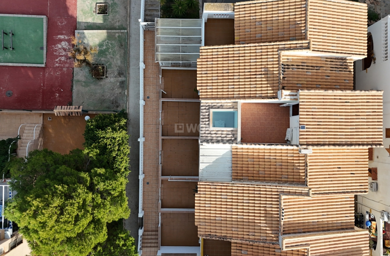 Wiederverkauf - Duplex - La Mata - Costa Blanca