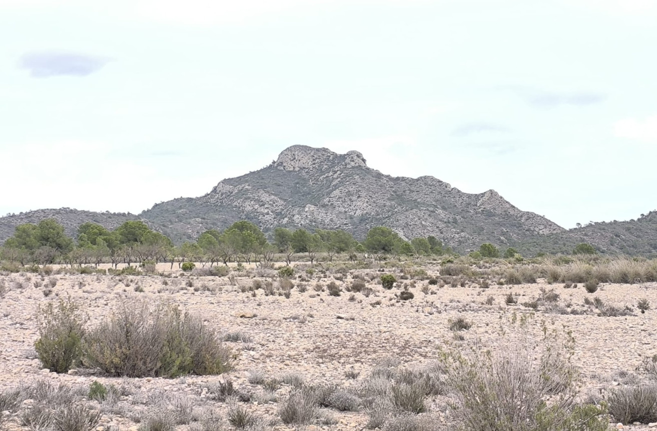 Reventa - Parcela / Terreno - Salinas - Inland
