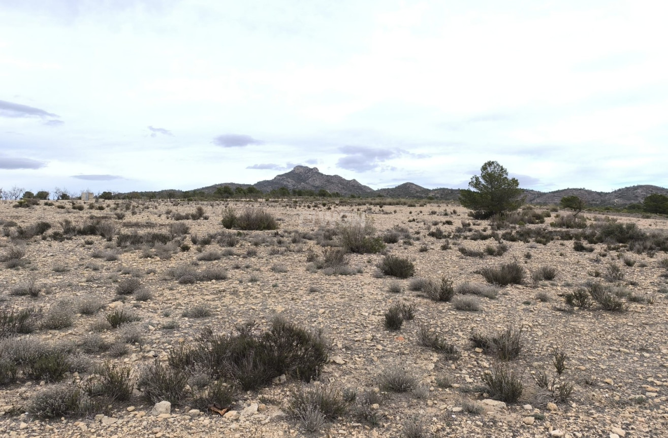 Reventa - Parcela / Terreno - Salinas - Inland