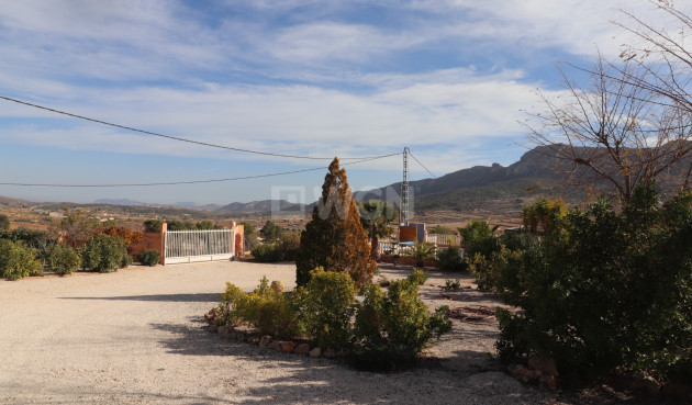 Wiederverkauf - Villa - La Romana - Inland