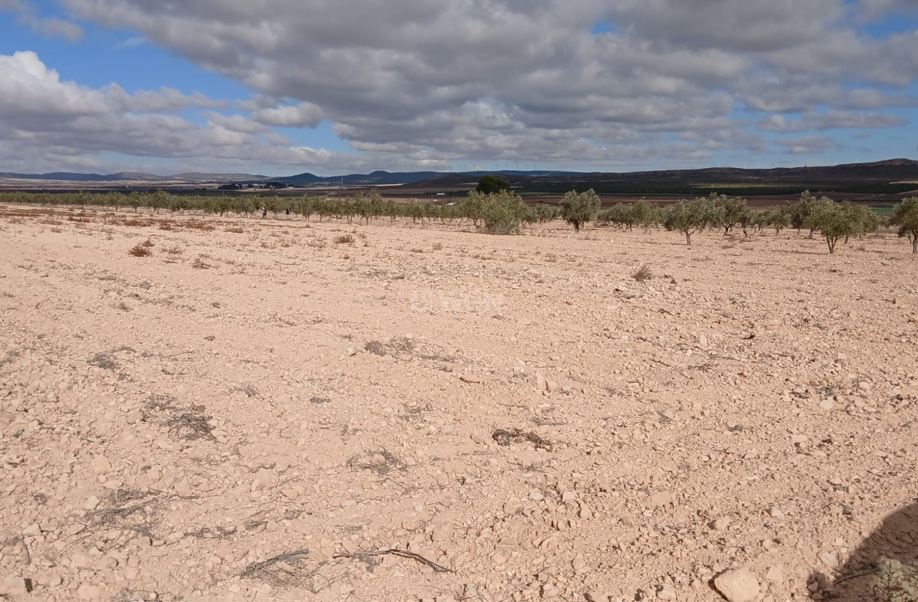 Resale - Plot / Land - Yecla - Inland