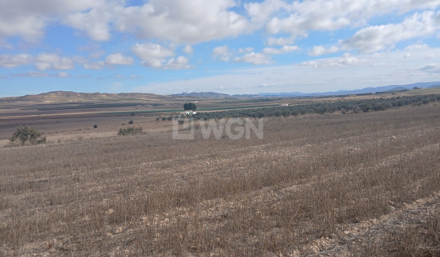 Resale - Plot / Land - Yecla - Inland