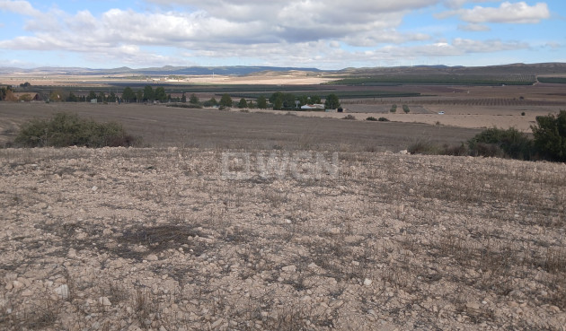Resale - Plot / Land - Yecla - Inland