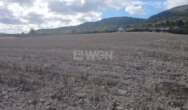 Resale - Plot / Land - Yecla - Inland