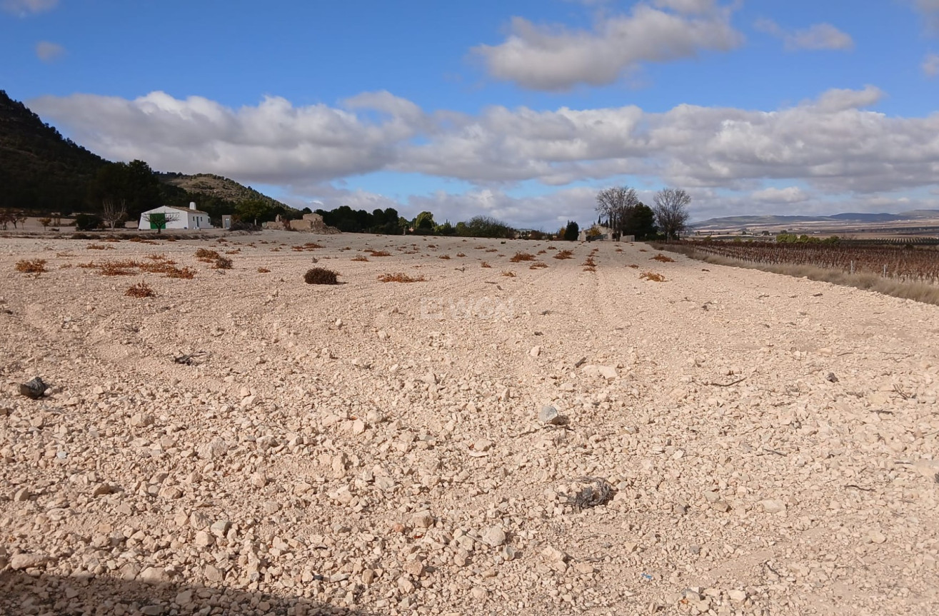 Resale - Plot / Land - Yecla - Inland