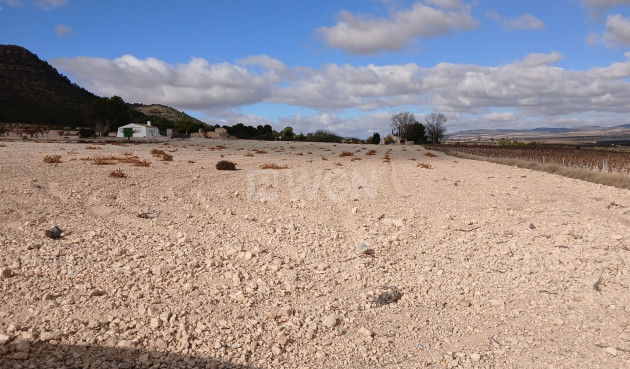 Resale - Plot / Land - Yecla - Inland