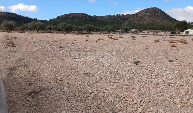 Resale - Plot / Land - Yecla - Inland