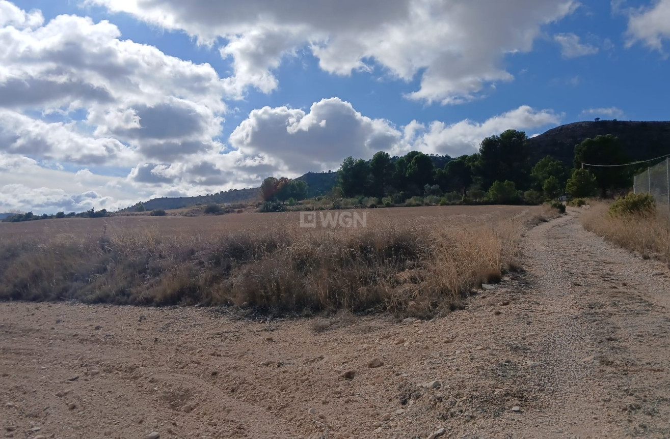 Resale - Plot / Land - Yecla - Inland