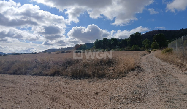 Resale - Plot / Land - Yecla - Inland
