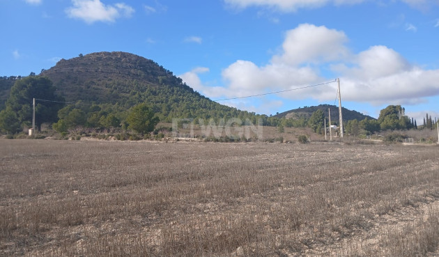 Resale - Plot / Land - Yecla - Inland