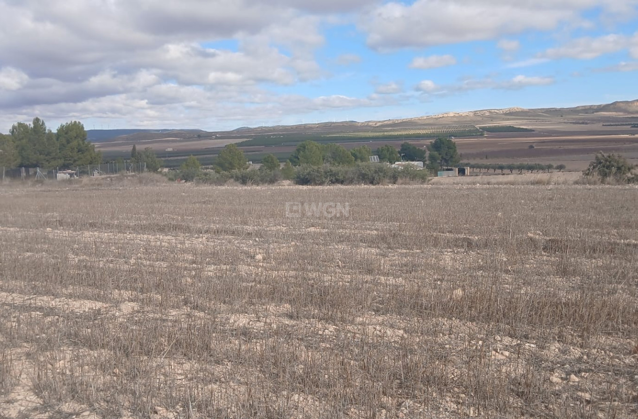 Resale - Plot / Land - Yecla - Inland