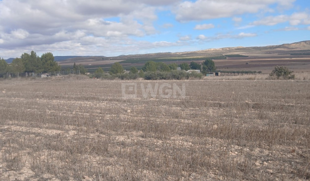 Resale - Plot / Land - Yecla - Inland
