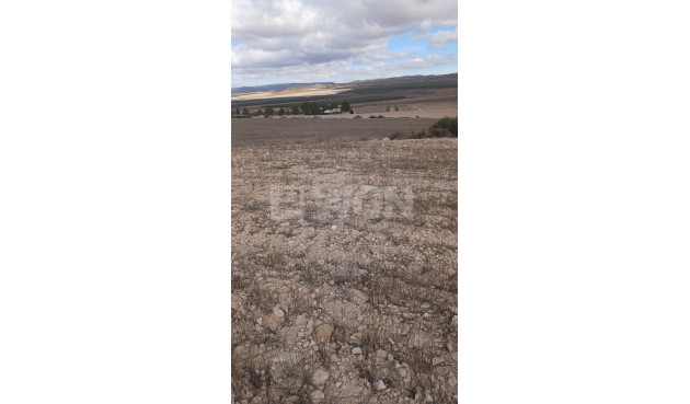 Resale - Plot / Land - Yecla - Inland
