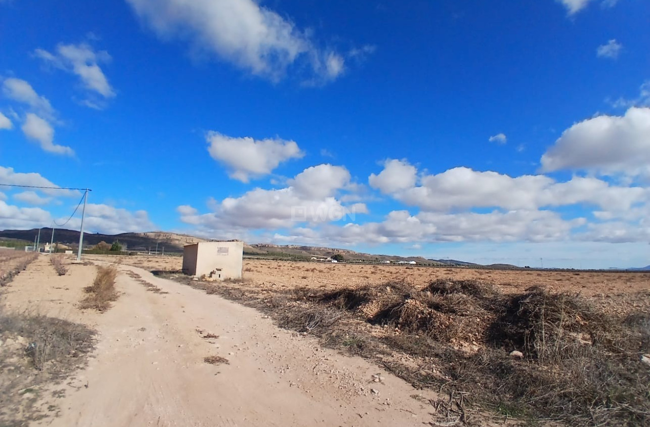 Reventa - Parcela / Terreno - Yecla - Inland