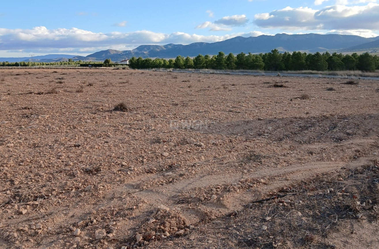 Reventa - Parcela / Terreno - Yecla - Inland