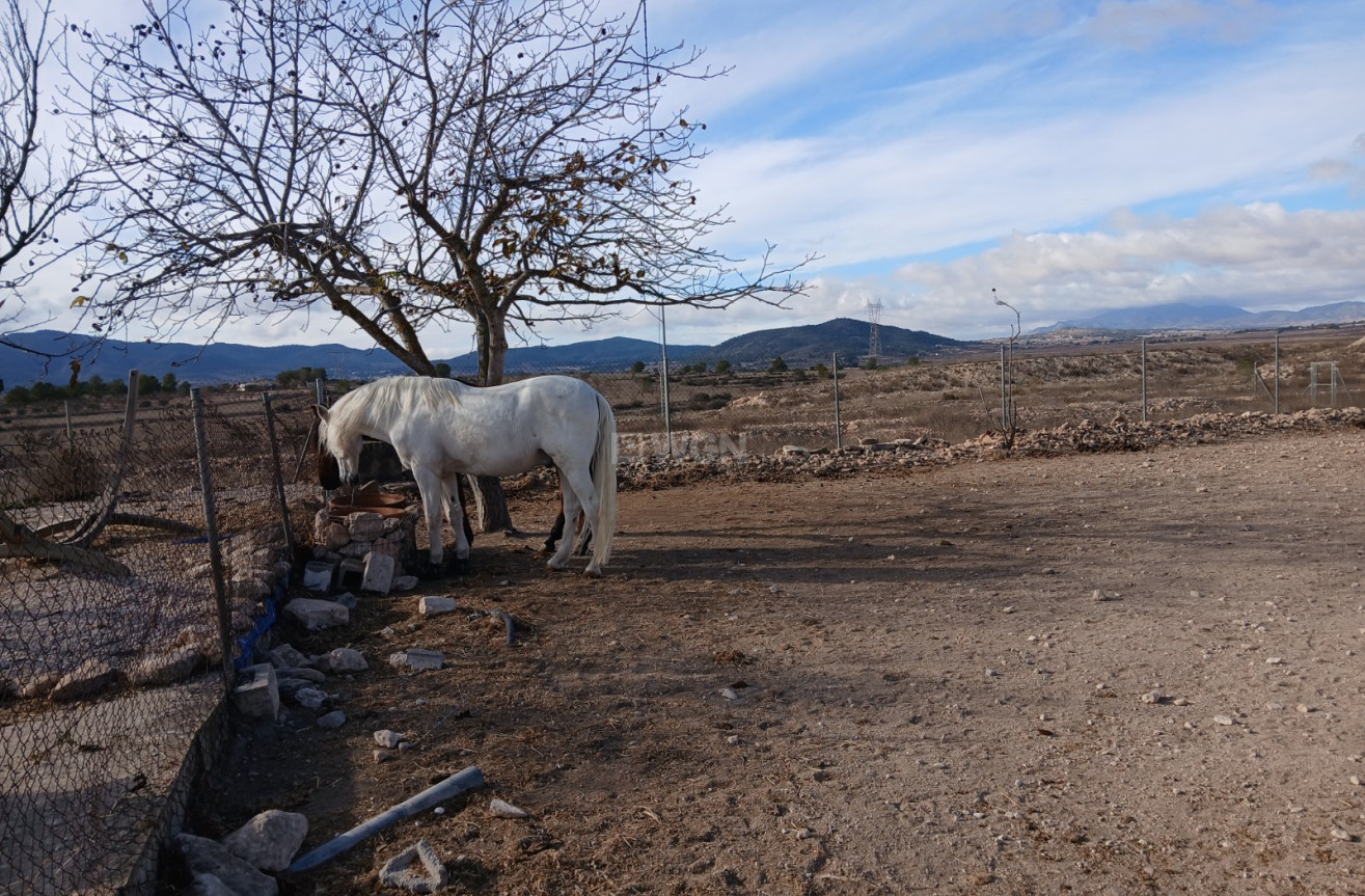 Wiederverkauf - Property - Monóvar/Monóver - Inland