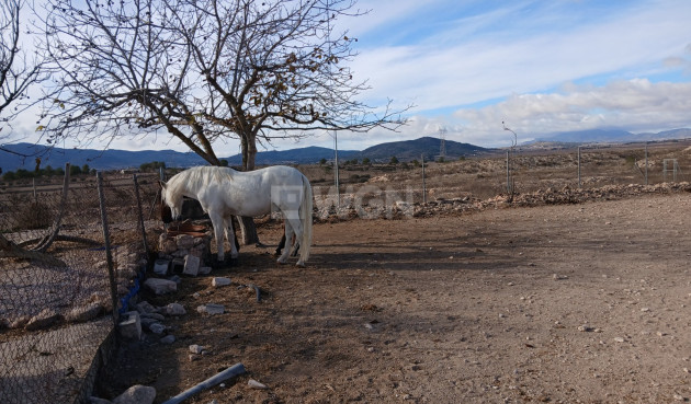 Wiederverkauf - Property - Monóvar/Monóver - Inland