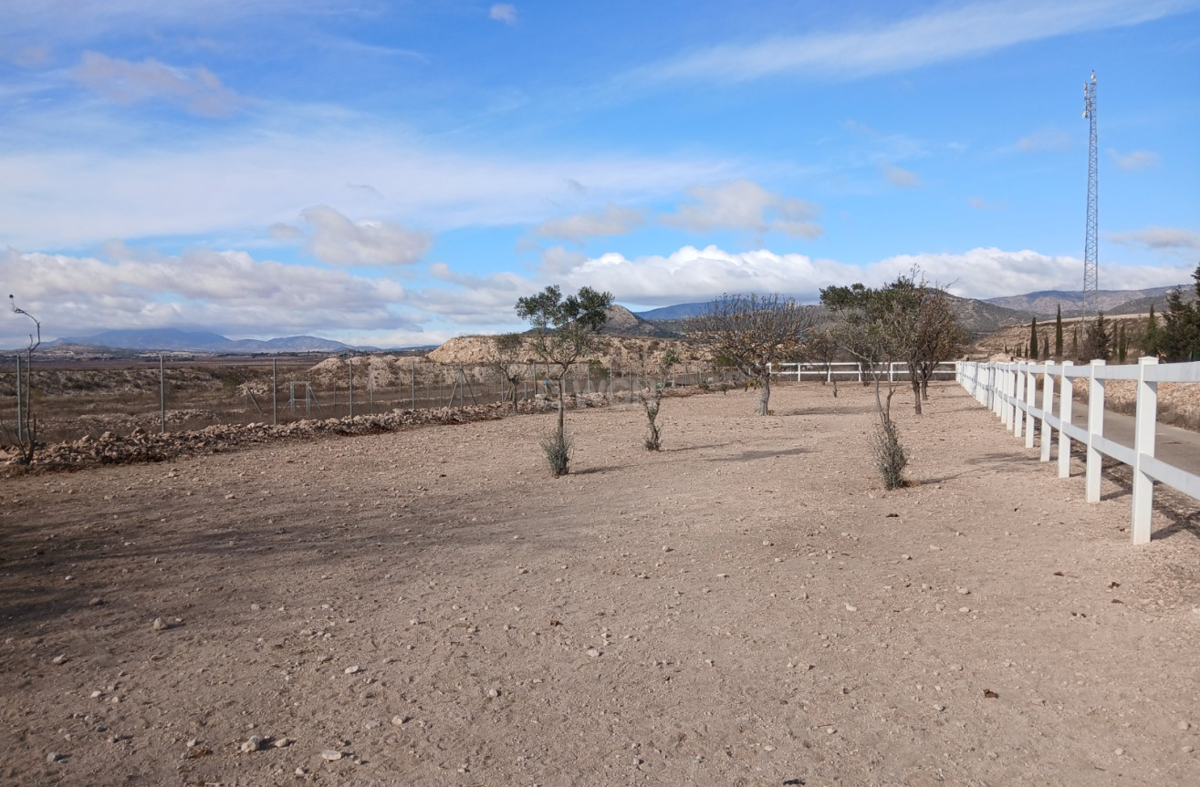 Wiederverkauf - Property - Monóvar/Monóver - Inland