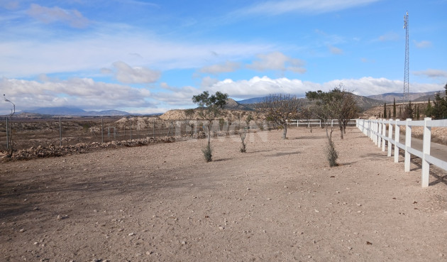 Wiederverkauf - Property - Monóvar/Monóver - Inland