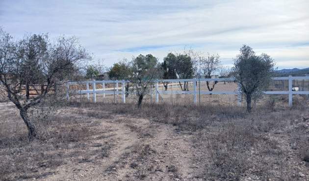 Wiederverkauf - Property - Monóvar/Monóver - Inland