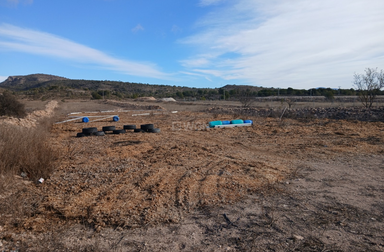 Wiederverkauf - Property - Monóvar/Monóver - Inland