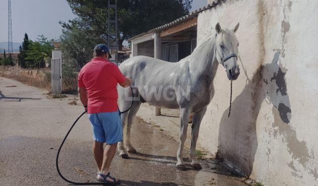 Wiederverkauf - Property - Monóvar/Monóver - Inland