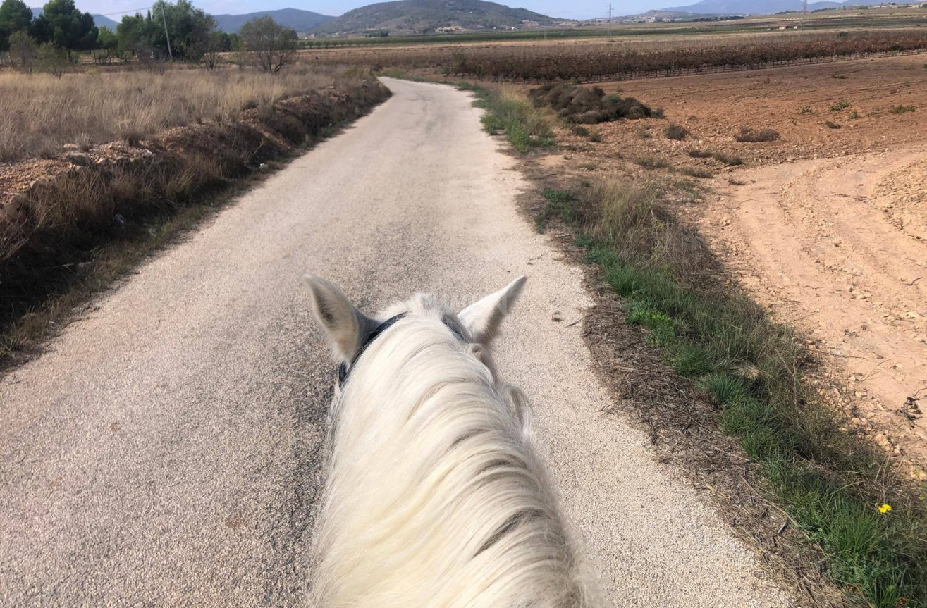 Wiederverkauf - Property - Monóvar/Monóver - Inland