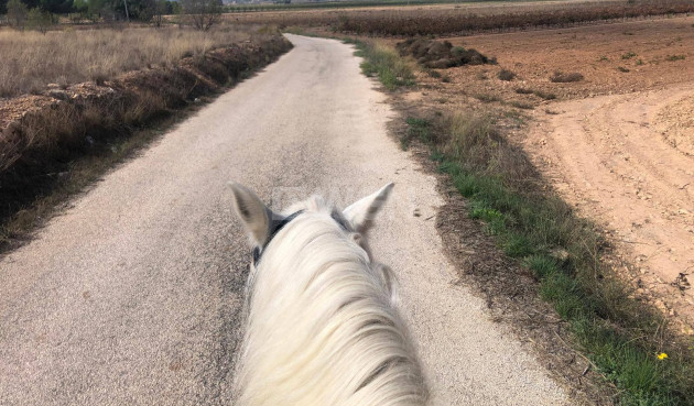 Wiederverkauf - Property - Monóvar/Monóver - Inland