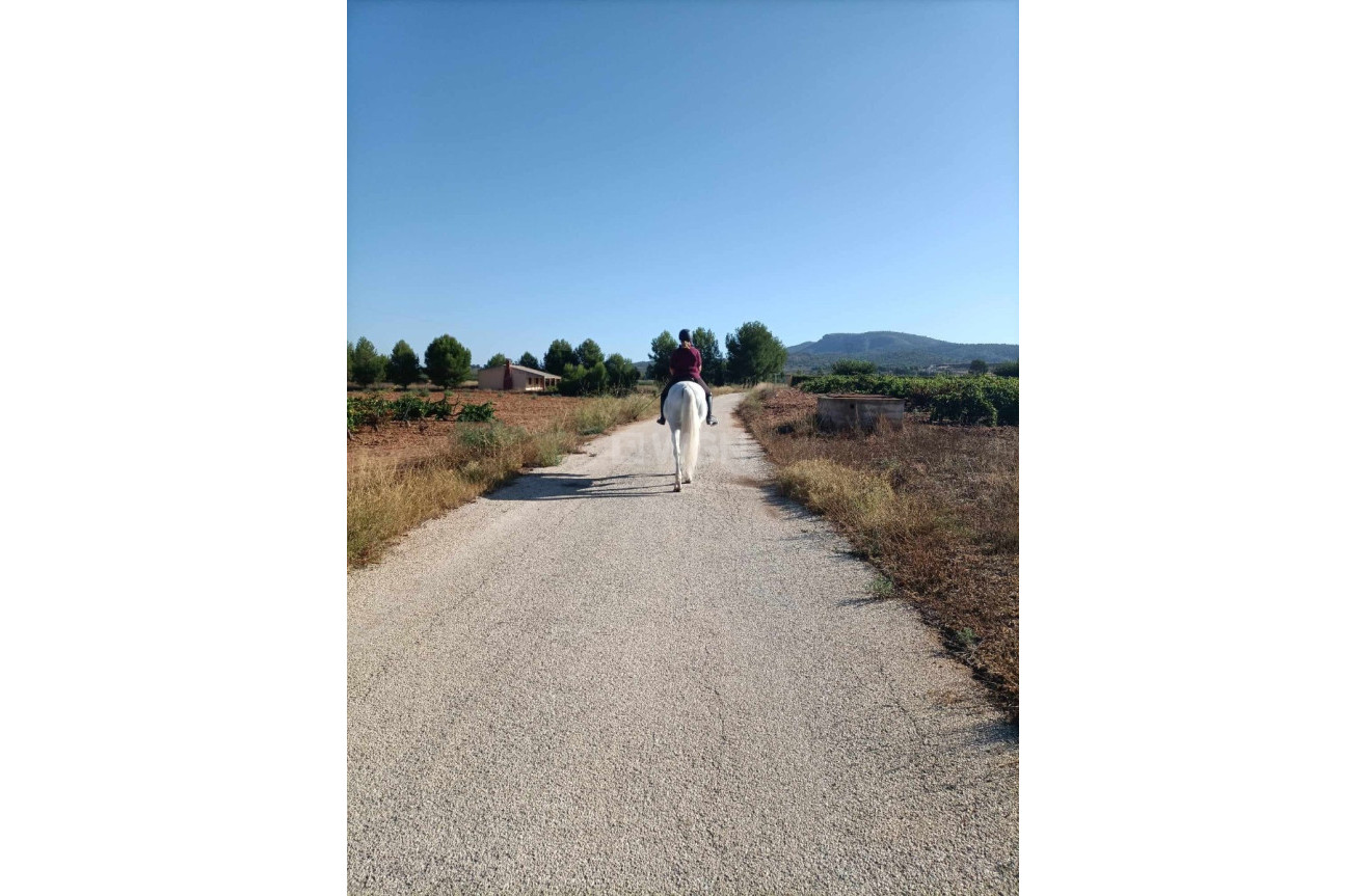 Wiederverkauf - Property - Monóvar/Monóver - Inland