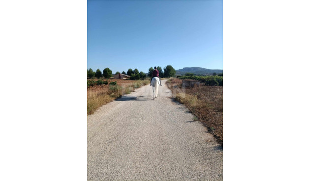 Wiederverkauf - Property - Monóvar/Monóver - Inland